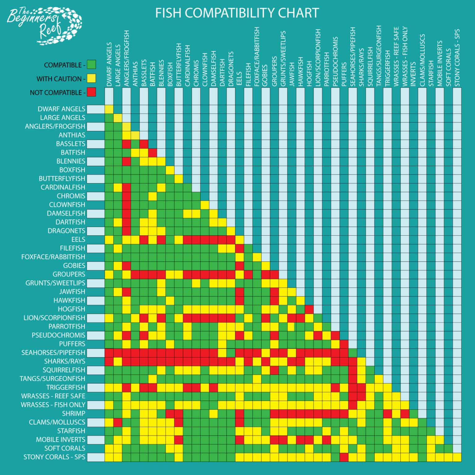 Рыба крыса совместимость. Compatibility Chart. Cargo Compatibility Chart. USCG Compatibility Chart.