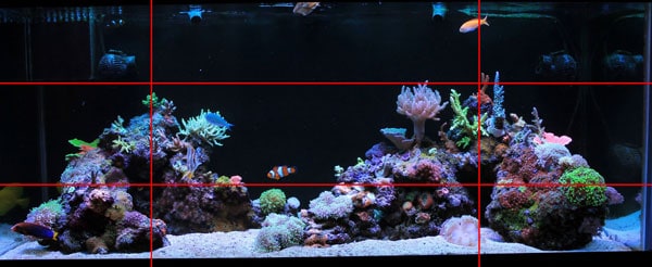 droefheid atmosfeer Dwars zitten Reef Tank Aquascapes: 15 Stunning Design Tips – The Beginners Reef
